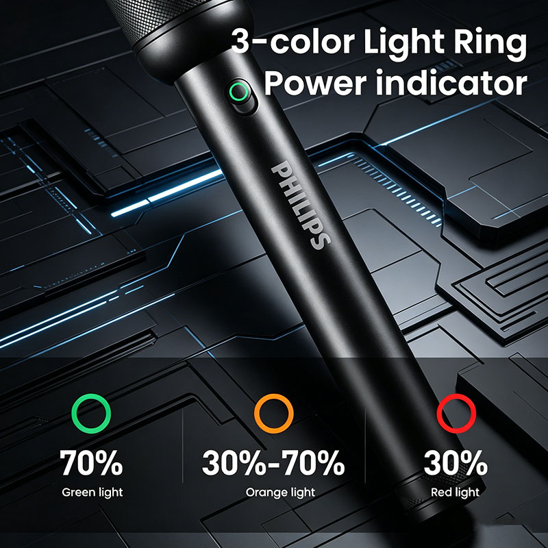 Philips Sfl8286 Strong Flashli - Outdoor Lighting Philips 评论和价格