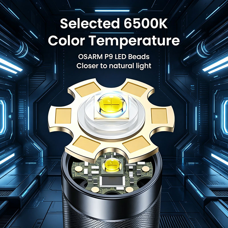 Philips Sfl8286 Strong Flashli - Outdoor Lighting Philips 评论和价格