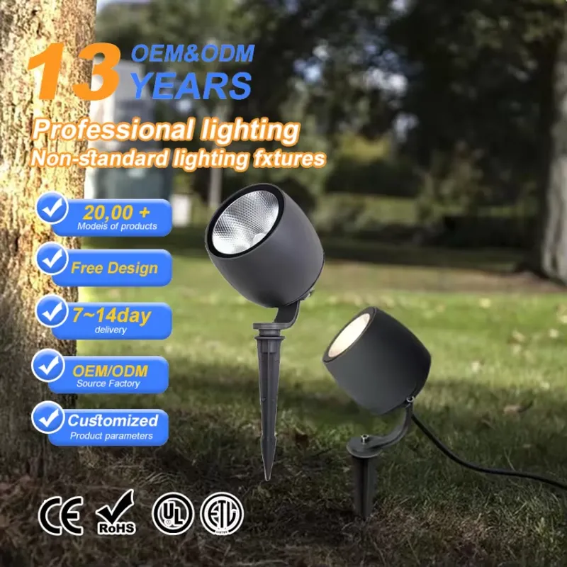 Hot Sale IP65 10W 20W 30W AC D - Outdoor Lighting Spotlight 评论和价格