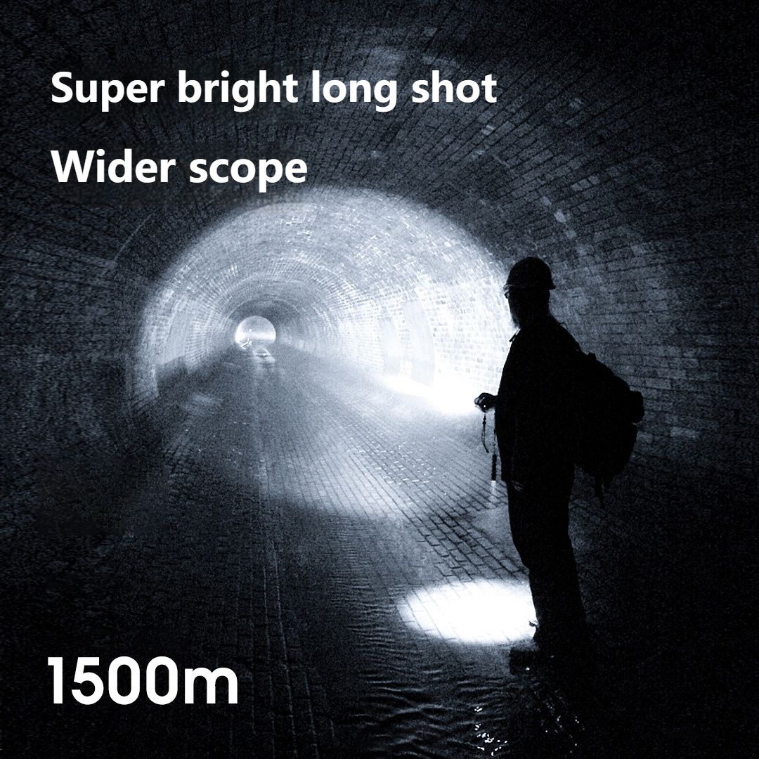 Philips LED Flashlight With US - Outdoor Lighting Philips 评论和价格