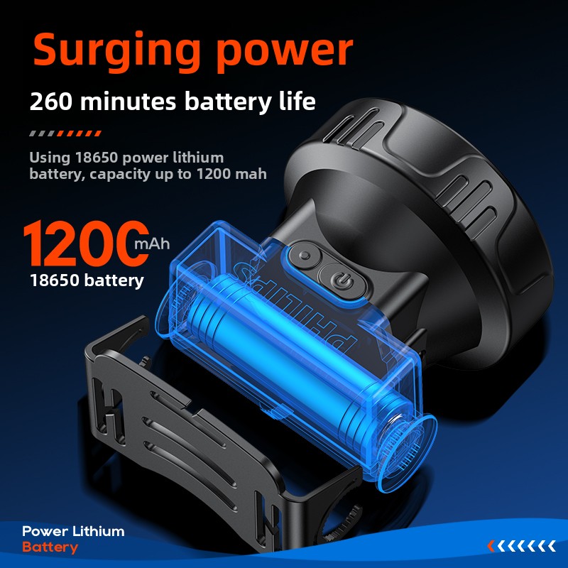PHILIPS SFL1342 LED Headlamp S - Outdoor Lighting Philips 评论和价格