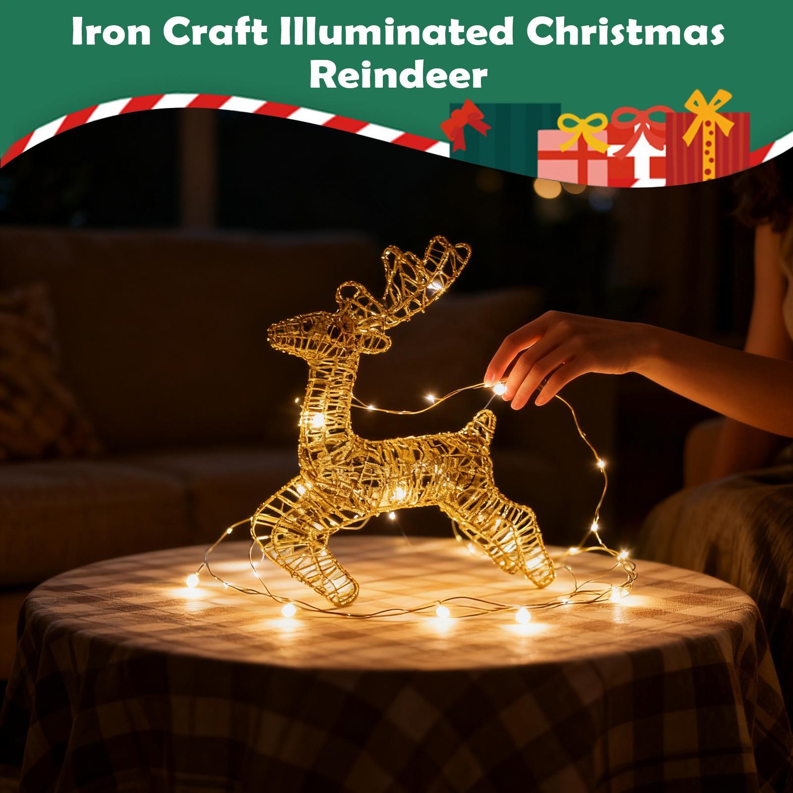 Lighted Christmas Deer Glitter - Outdoor Lighting Front Yard 评论和价格