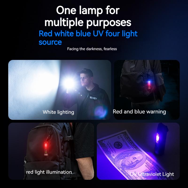 PHILIPS 2025 NEW SFL1121 EDC F - Outdoor Lighting Philips 评论和价格