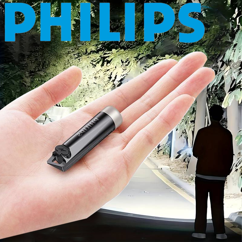 PHILIPS 2025 NEW SFL1121 EDC F - Outdoor Lighting Philips 评论和价格