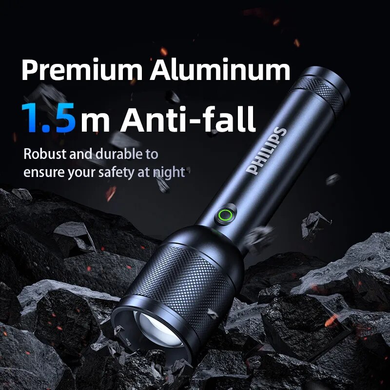 PHILIPS SFL8168 Handheld LED T - Outdoor Lighting Philips 评论和价格