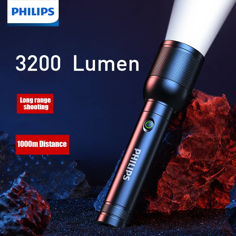 PHILIPS SFL8168 Handheld LED T - Outdoor Lighting Philips 评论和价格