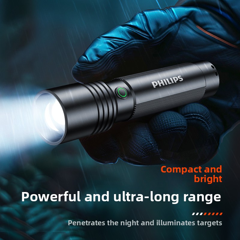 Home & Outdoor Philips SFL2146 - Outdoor Lighting Philips 评论和价格