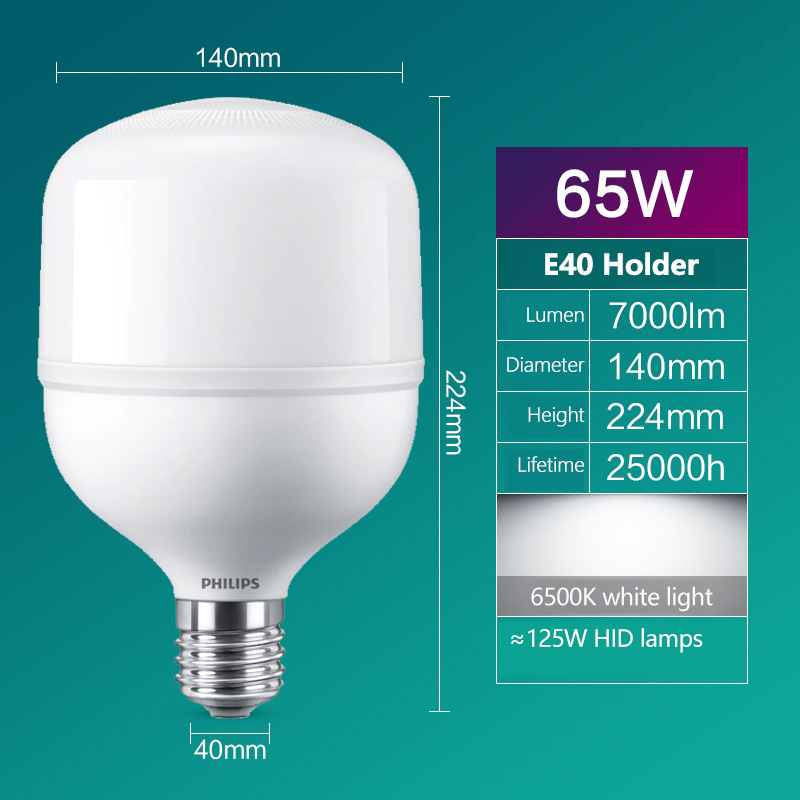 Philips LED T160 Bulb E40 65W  - Outdoor Lighting Philips 评论和价格